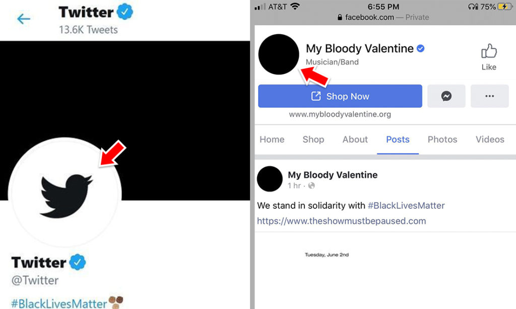 Twitter và Facebook tự động thay đổi logo thương hiệu và avatar của người dùng thành màu đen để thể hiện sự ủng hộ đối với phong trào Black Lives Matter. (Tổng hợp)