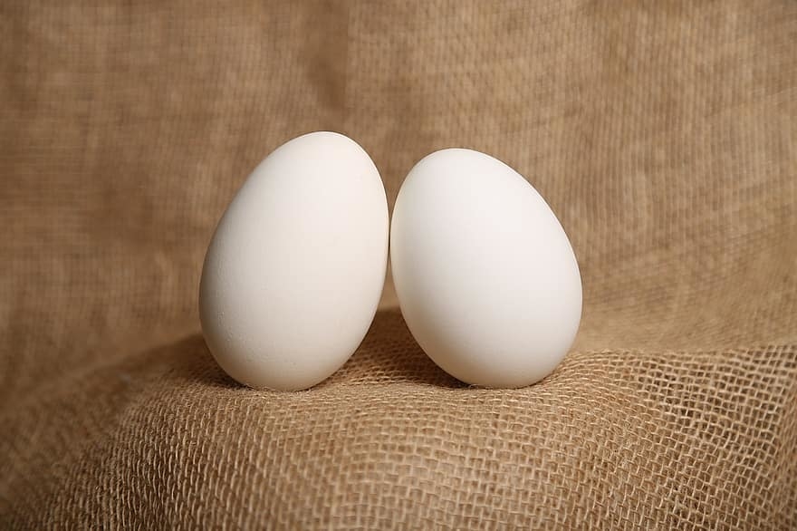 "Nếu bạn có 2 quả trứng, và bạn muốn tìm ra tầng cao nhất mà bạn có thể thả quả trứng mà không làm vỡ nó, bạn sẽ làm thế nào? Giải pháp tối ưu là gì?"