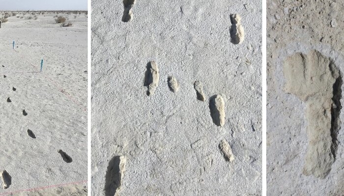 Phát hiện các dấu chân người 10.000 năm tuổi tại Mỹ