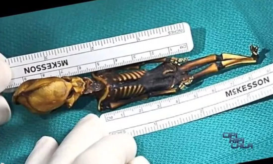 Một bộ xương dài 15 cm đã được tìm thấy ở sa mạc Atacama ở Chile cho thấy một số điểm dị thường, chẳng hạn hộp sọ giống như người ngoài hành tinh, cơ thể chỉ có 10 chiếc xương sườn chứ không phải 12 chiếc giống con người bình thường. (Ảnh: © Sirius, YouTube Screengrab)