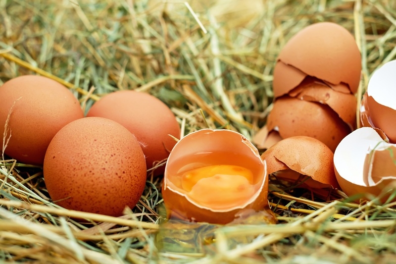 Trứng có vô số thứ tốt cho sự phát triển của tóc, như kẽm, sắt, một loạt các vitamin B, protein và một số khoáng chất khác.