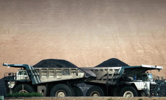 Các xe tải chở than tại mỏ than Mt Arthur của BHP Billiton's tại Muswellbrook, Úc (Ảnh của Ian Waldie / Getty Images)