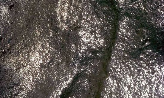 Hóa thạch dấu chân Zapata (Minghui.org)