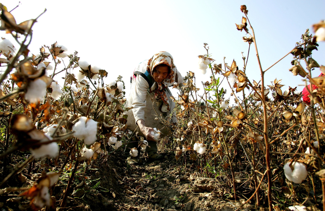 Trung Quốc ‘bán buôn’ nô lệ lao động Tân Cương, mỗi lô từ 50 đến 100 người