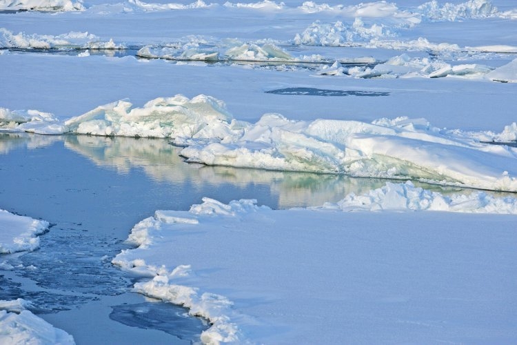 Băng được nhìn thấy trôi nổi ở Bắc Băng Dương trong bức ảnh không ghi ngày tháng này. Có một cuộc tranh luận sôi nổi giữa những người hoài nghi khí hậu và các nhà khoa học về lượng băng trên thế giới đang tan chảy hoặc tích tụ. (Ảnh: Được phép của Tin tức NOAA)